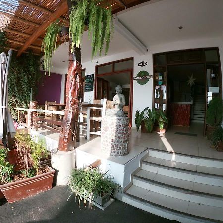Bamboo Lodge Paracas Exterior photo